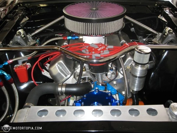 tn_full_IMG_0584JPG_Thumbnail1.webp
