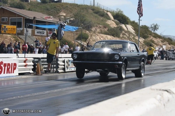 tn_full_IMG_1093JPG_Thumbnail1.webp