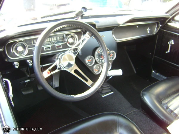 tn_full_randomonius_pix_438.webp