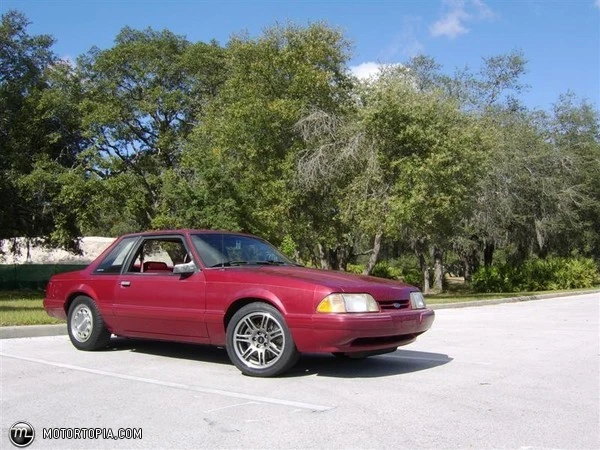 tn_full_STA71557_MediumJPG_Thumbnail1.webp