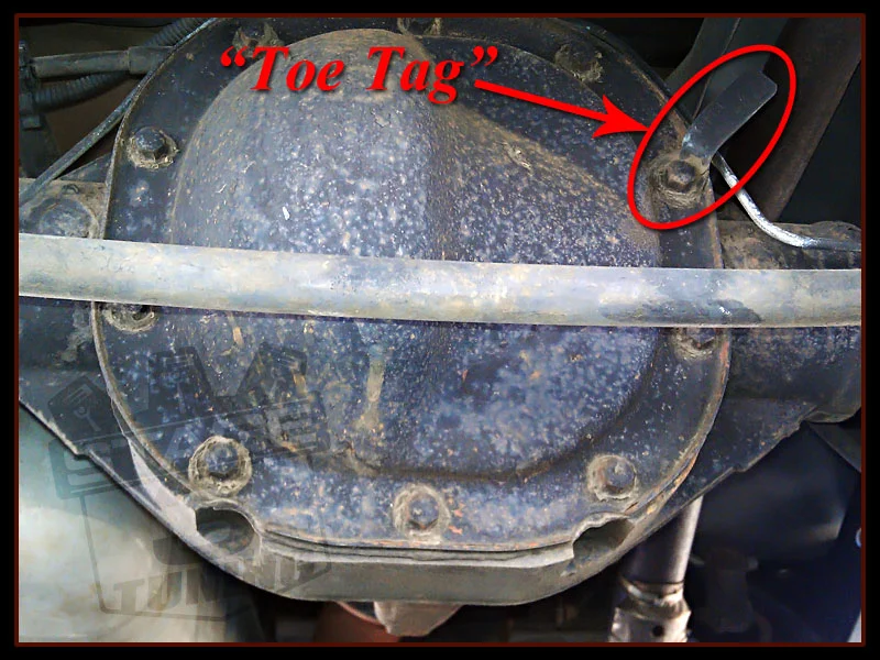 toe_tag_01.webp