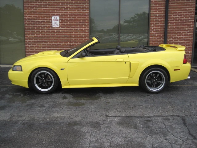 top down.webp