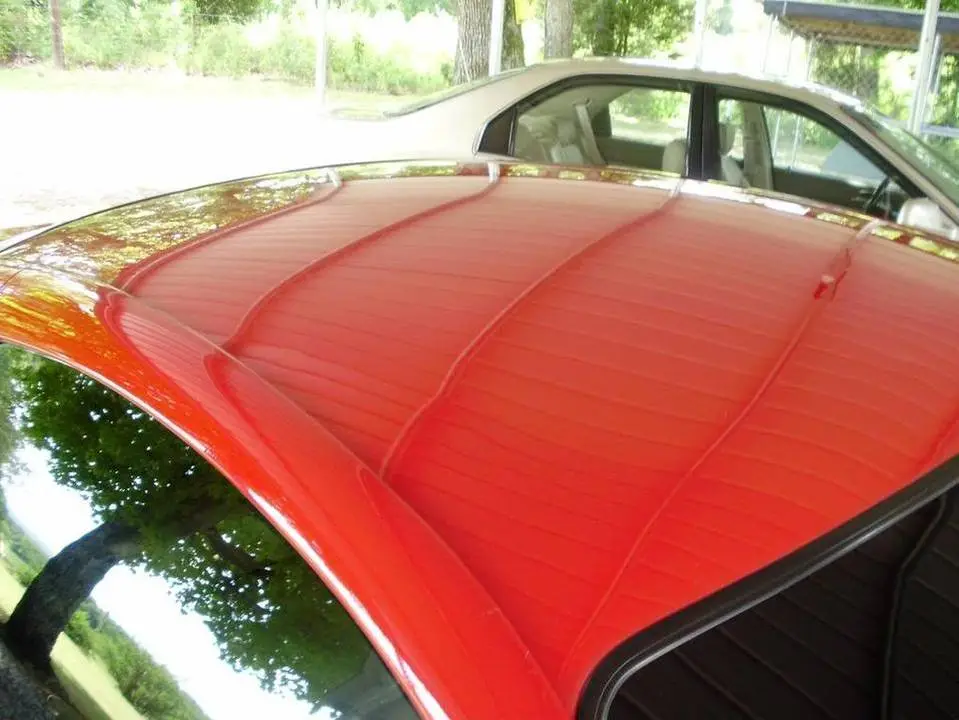 top.webp