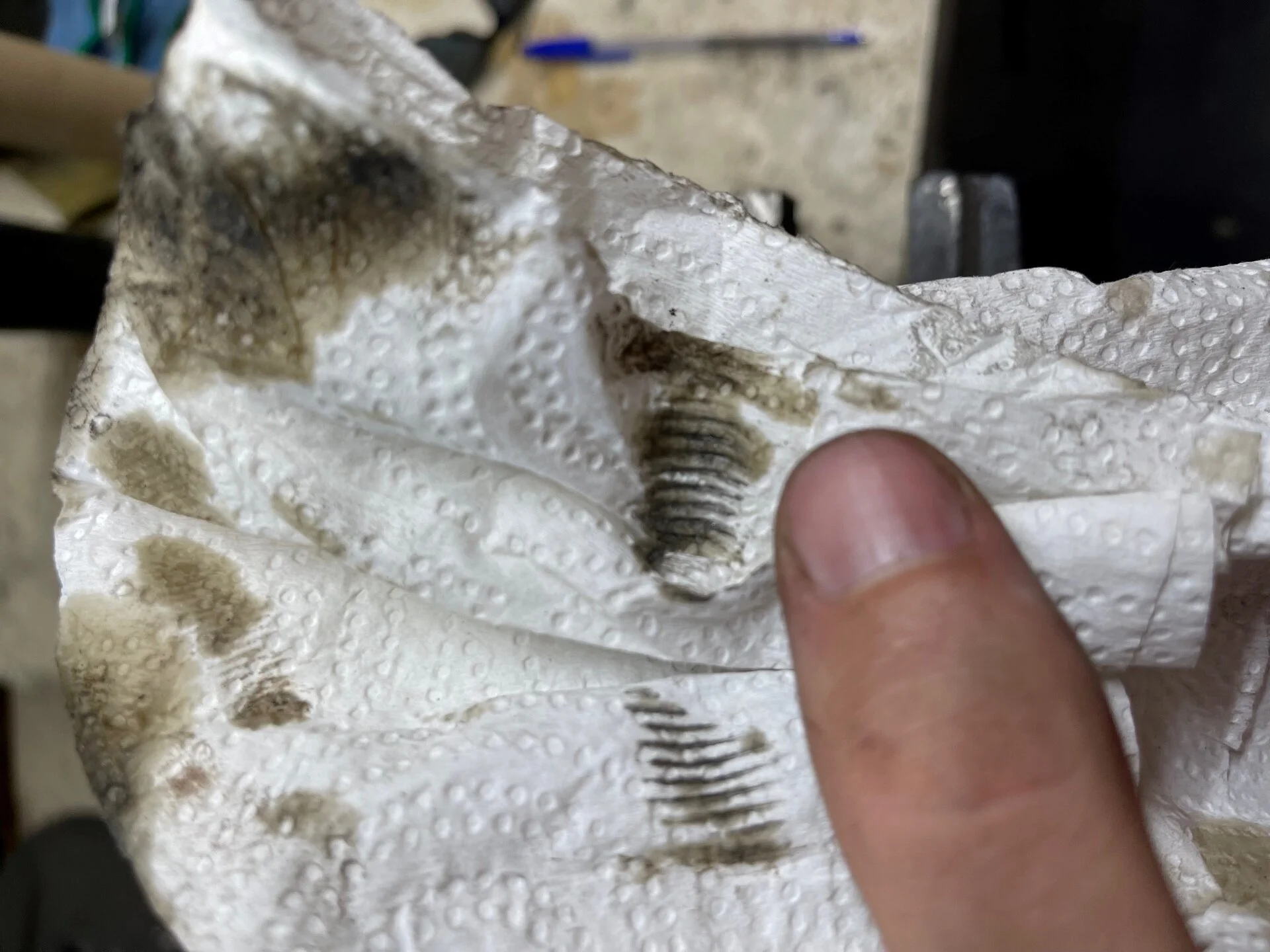 towel.webp