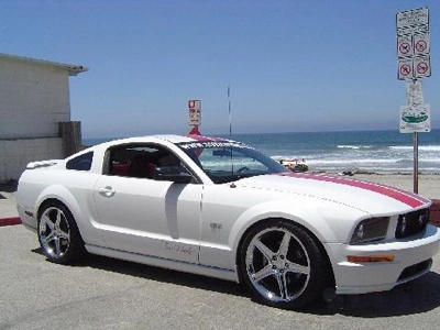 toxicmustang1.webp