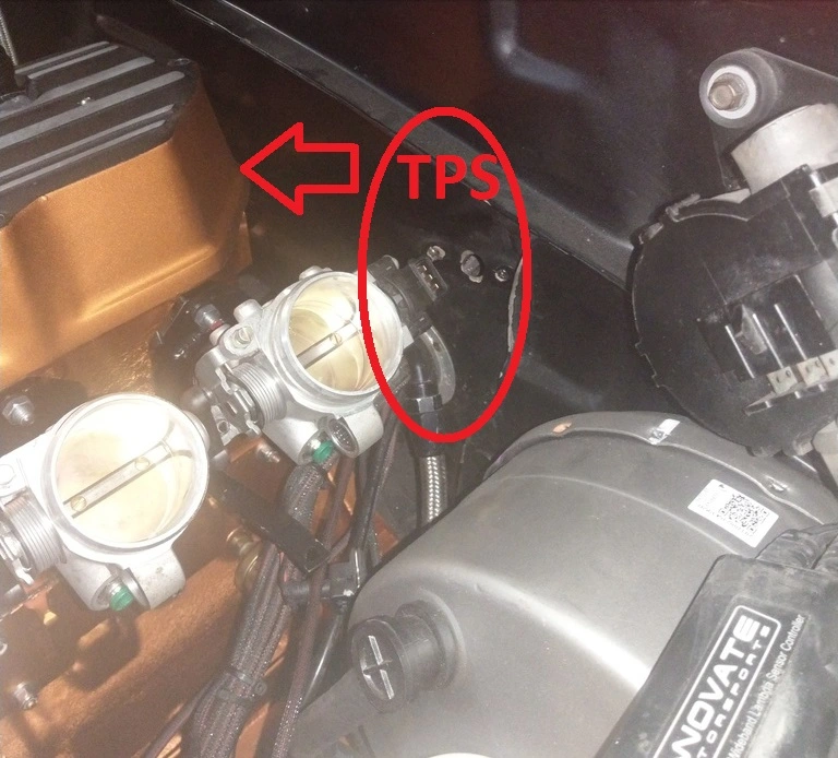 TPS_RELOCATION.webp