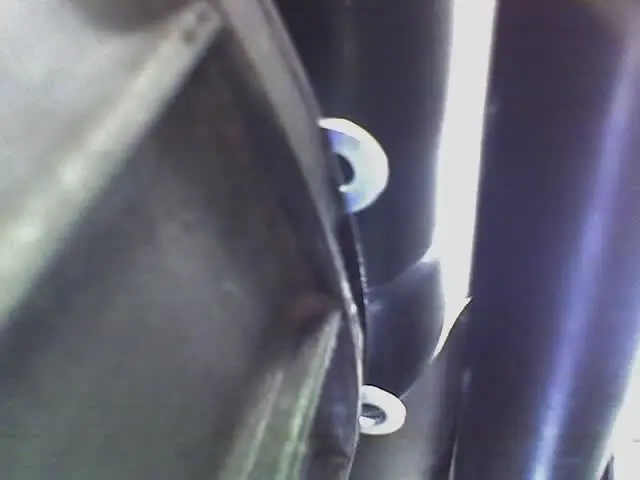 trannyplate.webp