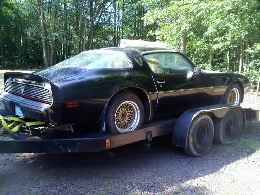 trans-am1.webp