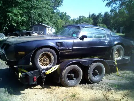 trans-am2.webp