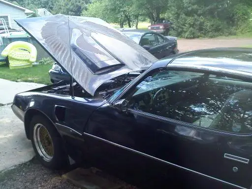 trans-am4.webp