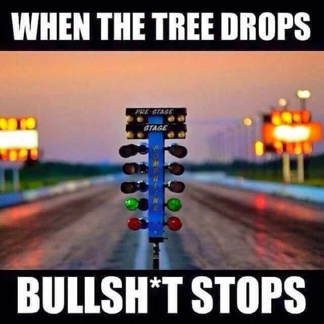 tree.webp