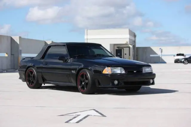 triple black Fox.webp