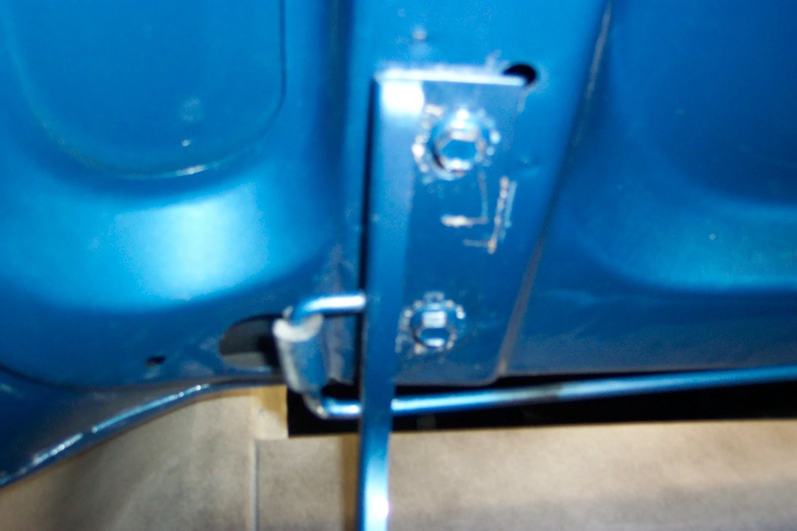 trunk 1.webp