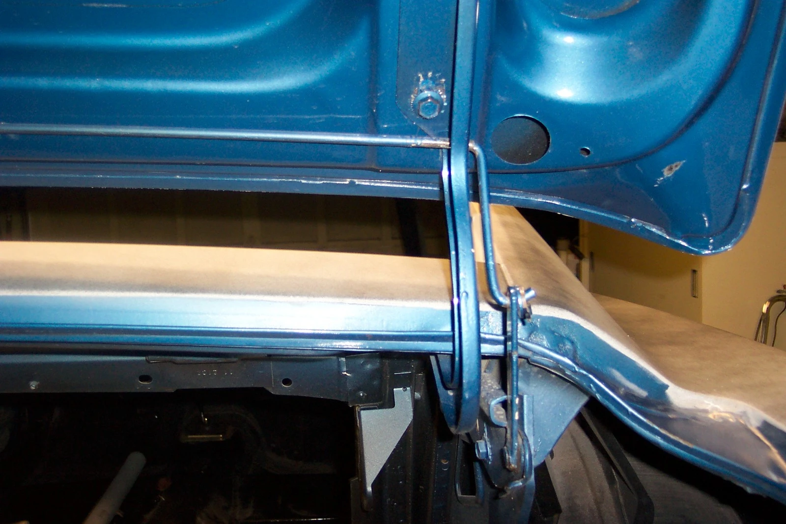 trunk 2.webp