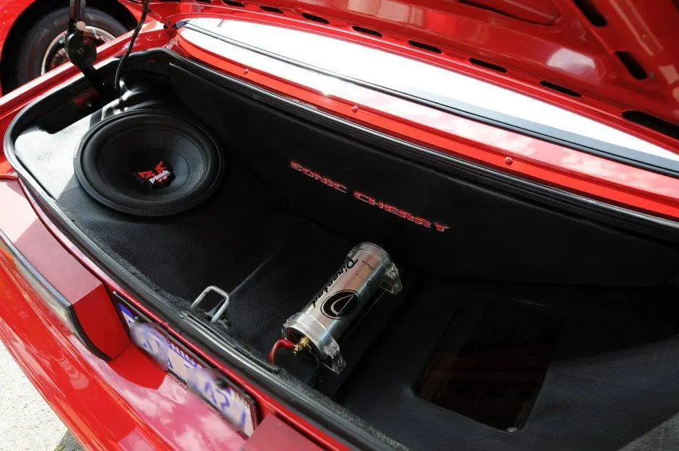 trunk.webp