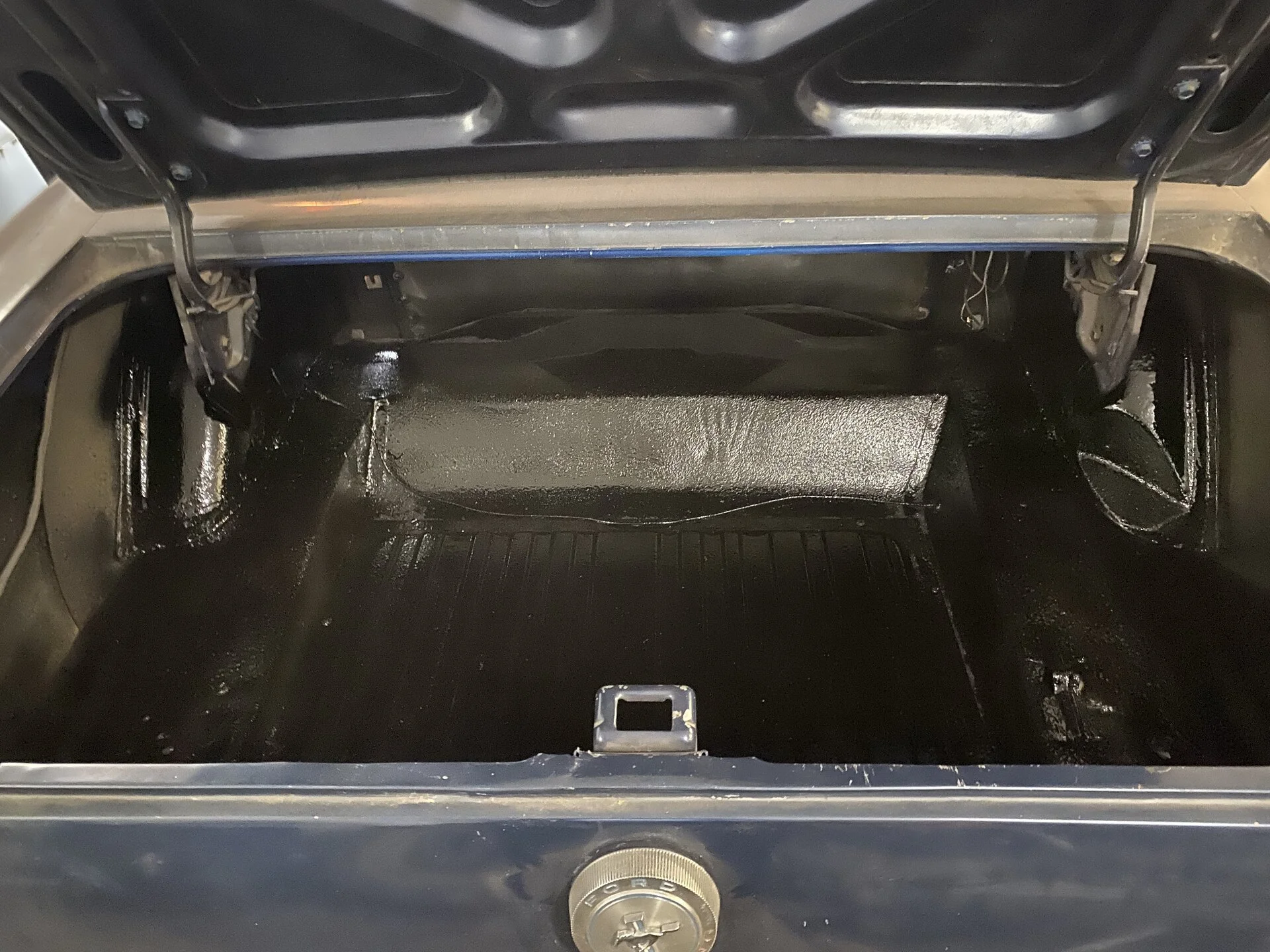 trunk.jpg