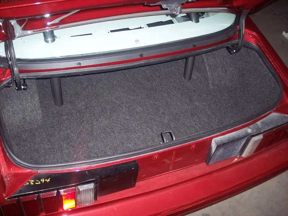 trunk004.webp