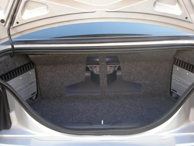 trunk1.webp