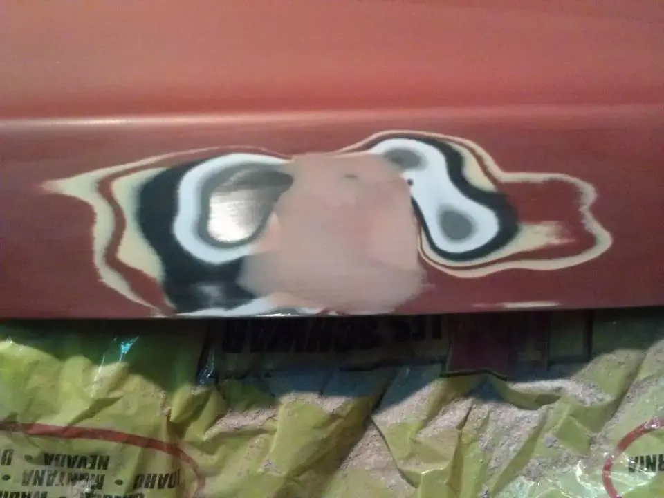 trunk2.webp