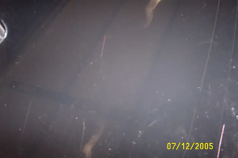 Trunk2.webp
