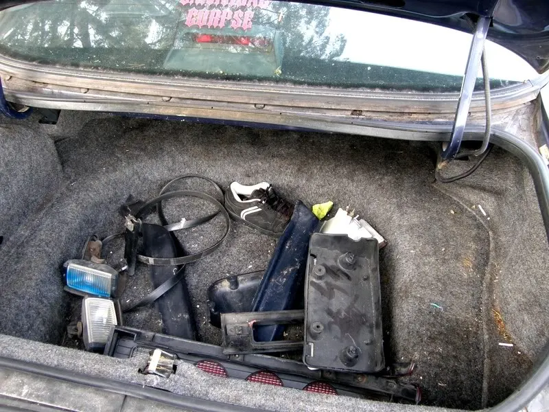Trunkarea.webp
