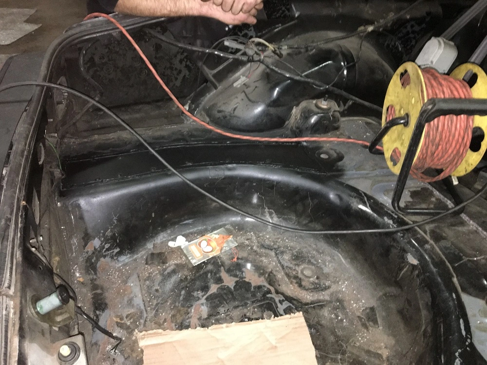 trunkfixed.webp