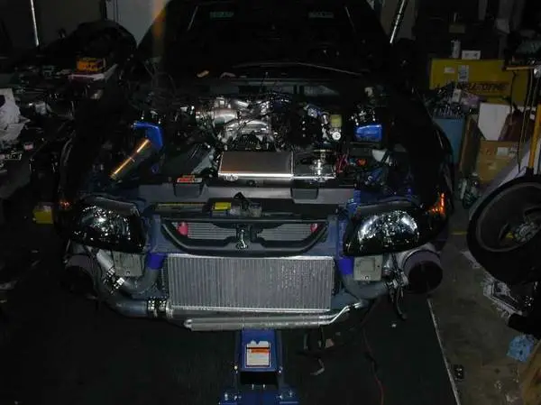 tt kit pics.webp