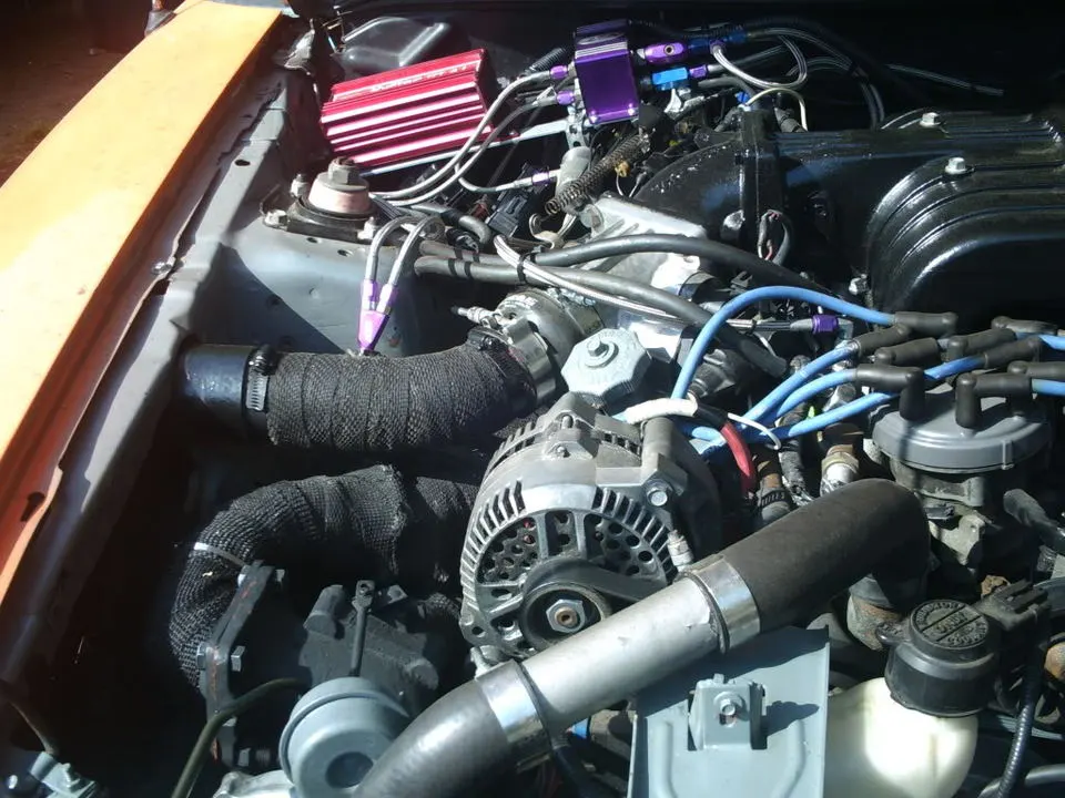 TTmustang003.webp