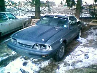 TTOPPINONPIC.webp