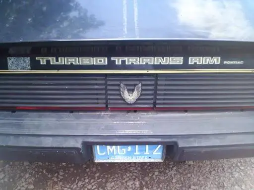 turbota.webp