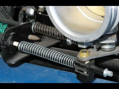 tv cable.webp