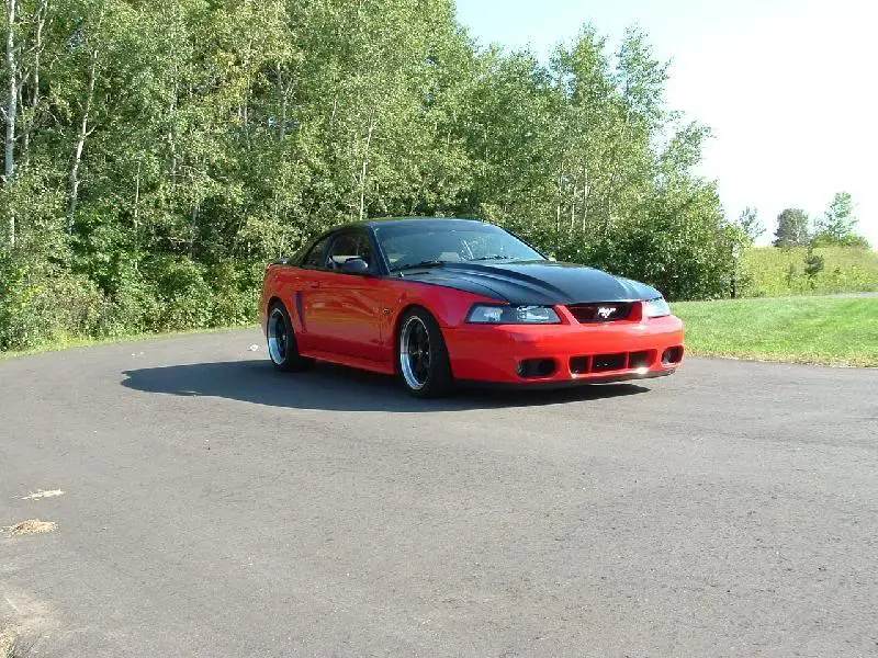 TwoTonedslammedStang.webp
