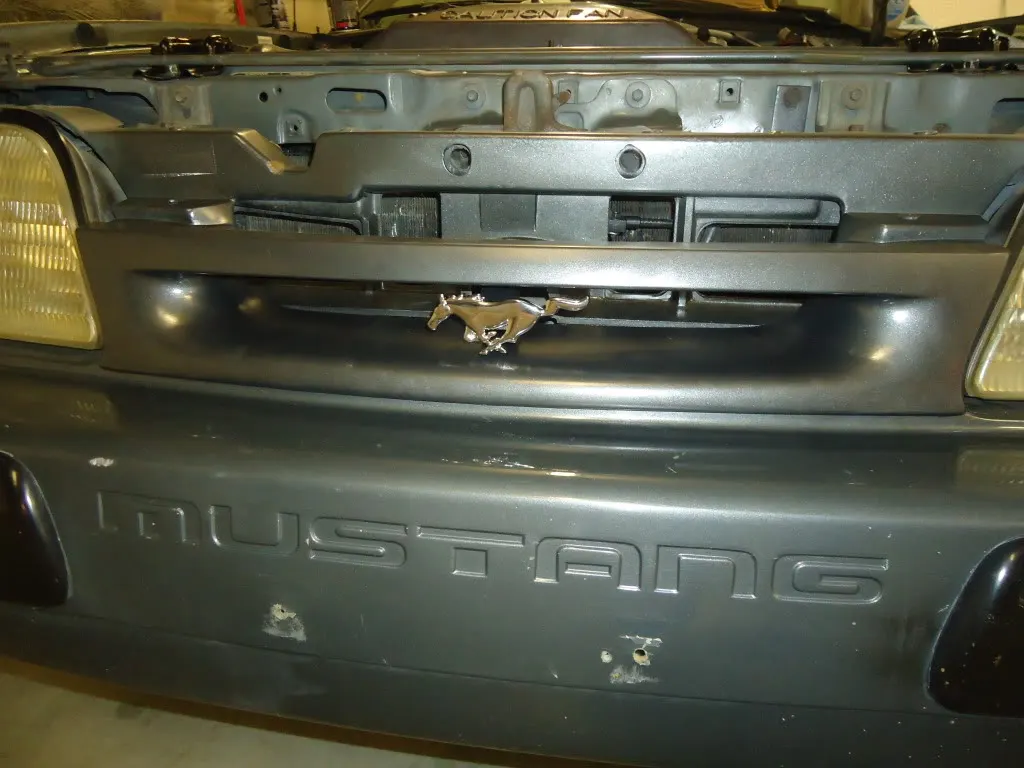 uD59Amm.jpg