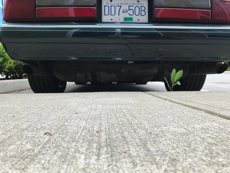 ultrado 90 fox ass end shot.webp
