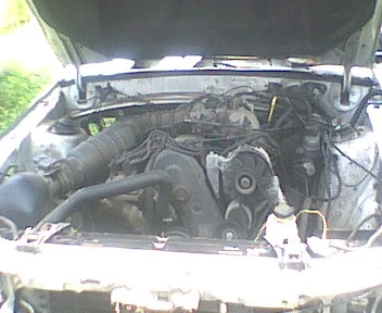 underhood.JPG