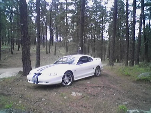 uphillstang.webp