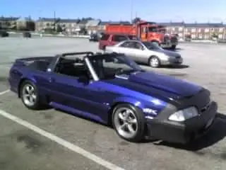 uploadfromtaptalk1452694967349.webp