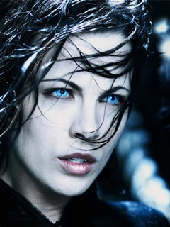 uw-wp-selene.webp