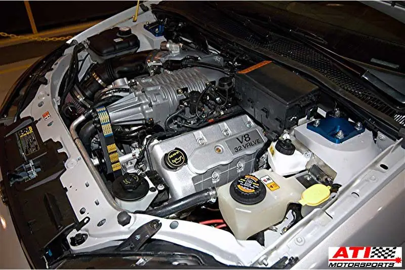 v8f1.webp