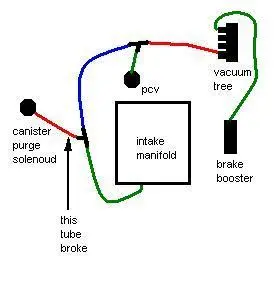 vac-dgm.webp