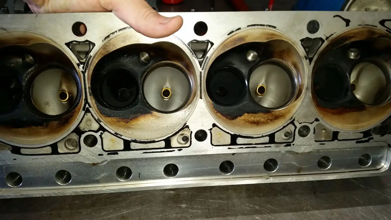 valveless heads.webp