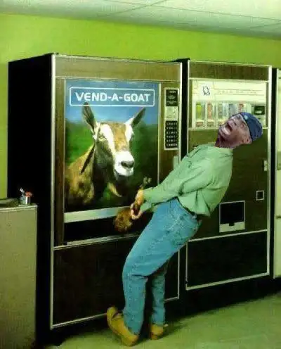 vendaahgoat.webp