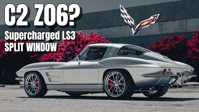 vette pic 5.webp