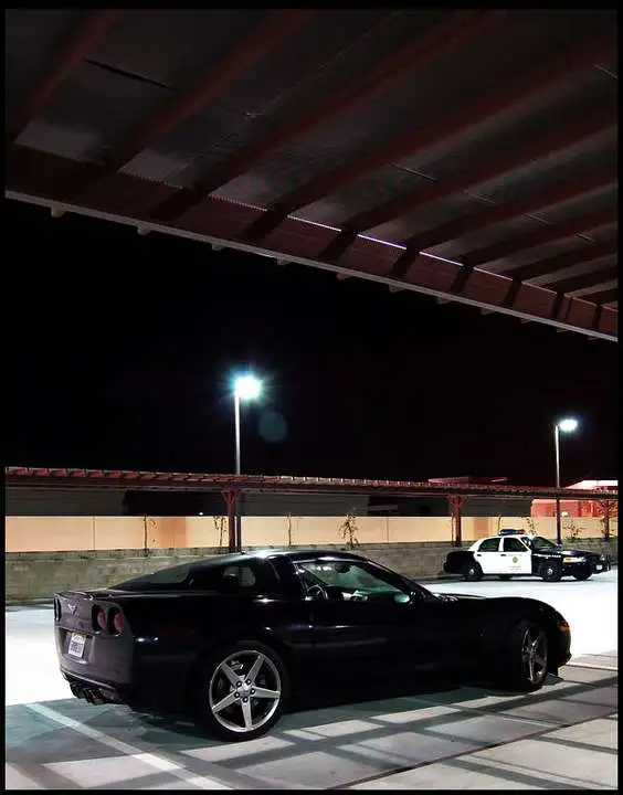 vette.webp