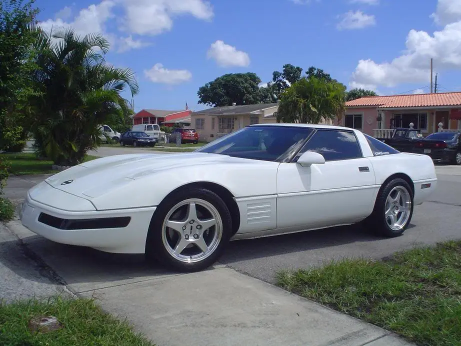 vette1.webp