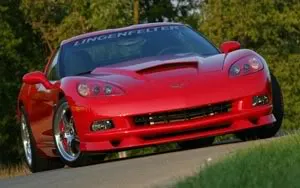 vette1.webp