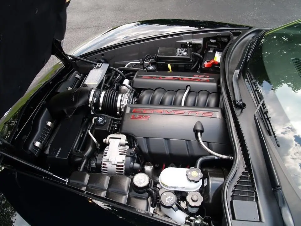 vette2.webp