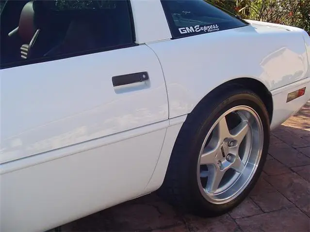vette3.webp