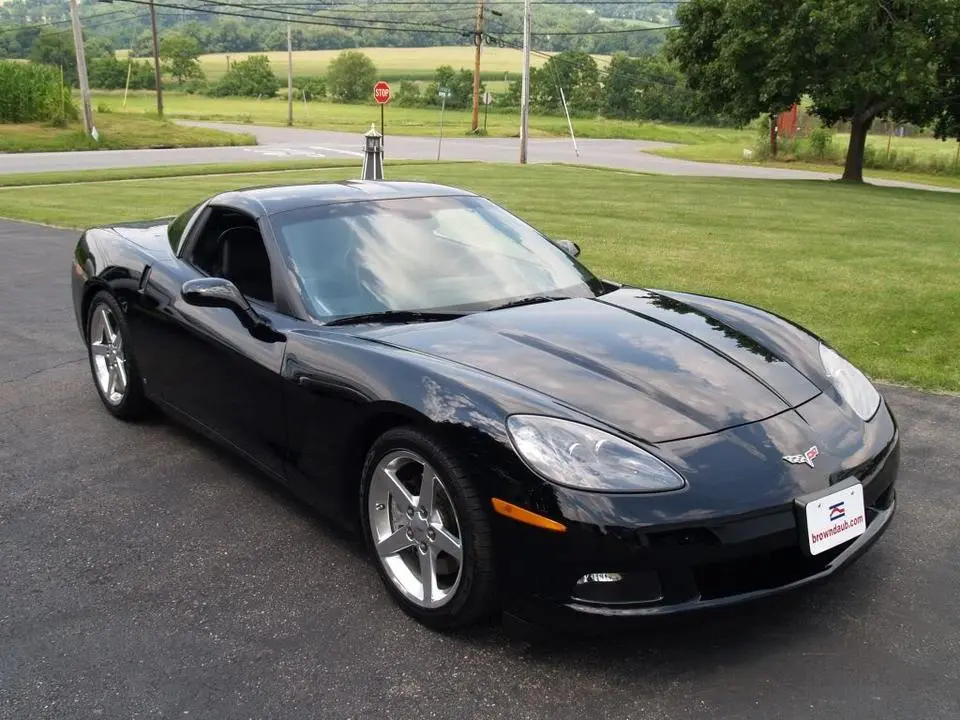 vette3.webp
