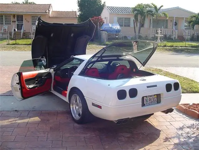 vette4.webp